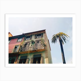 Palm and Colorful Building Porto Portugal Art Print