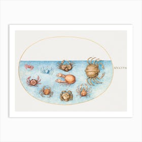 Nine Crabs, Joris Hoefnagel Art Print