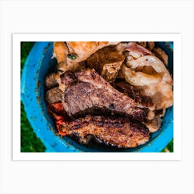 Different Kinds Of Grilled Meat Pieces In Dog Food Bowl Art Print