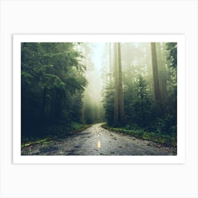 A Long Way Home - Redwood Forest Road Art Print