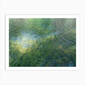 Reflection of green trees in the lake 1 Art Print