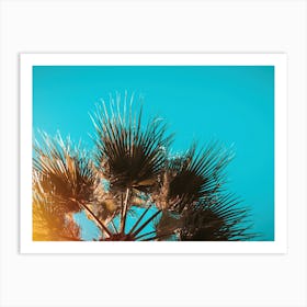 Palm Tree Against Blue Sky Art Print