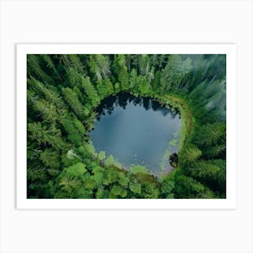 Pond In The Forest Art Print