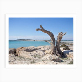 Elafonissi Beach Crete Art Print