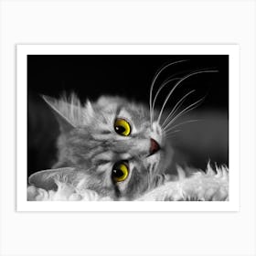 Black And White Cat Art Print