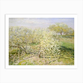 Blossoming Apple Trees Art Print