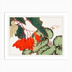 Cracklin Rosie Begonia Flower Woodblock Painting Art Print