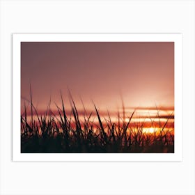 Sunset Over Grass 1 Art Print