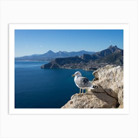 Seagull on the cliffs overlooking the blue Mediterranean Sea Art Print