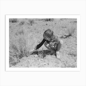 Josie Caudill Gathering Wildflowers, Pie Town, New Mexico By Russell Lee Art Print