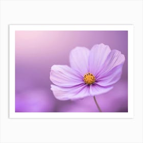 Purple Cosmos Flower Art Print