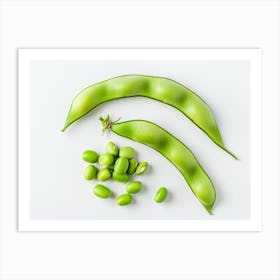 Soy Beans On White Background Art Print