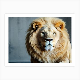 Lion art 76 Art Print