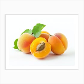 Apricots On White Background 3 Art Print