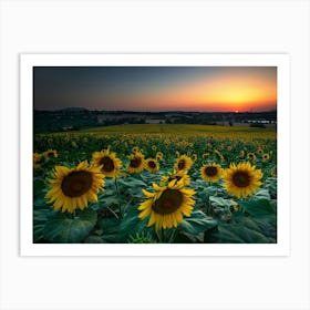 Sunflowers At Sunset Art Print