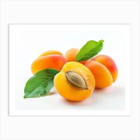 Apricots 9 Art Print