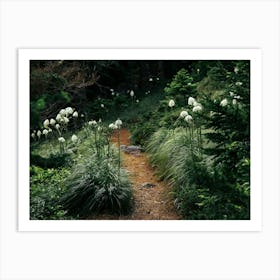 Bear Grass Trail Art Print