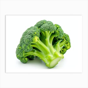 Broccoli 7 Art Print