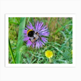 Bumblebee 20180522 2ppub Art Print