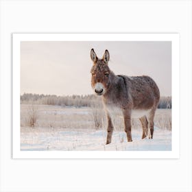 Snowy Donkey Scenery Art Print
