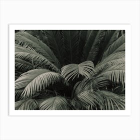 Moody Jungle Palm Art Print