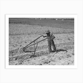 Untitled Photo, Possibly Related To New Madrid County, Missouri,Child Of Sharecropper Cultivating Cotton By Art Print