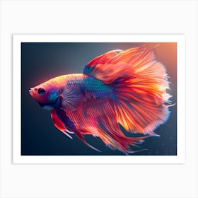 Siamese Catfish 11 Art Print