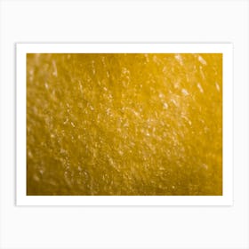 Yellow Pepper Kernel Under The Microscope Art Print