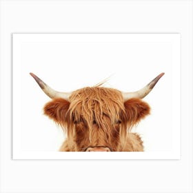 Highland Cow 7 Art Print