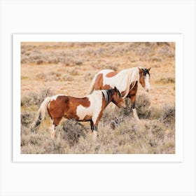 Paint Horses Art Print