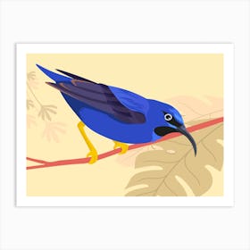 Tropical Avian Animal On Branch Art Print