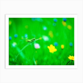 A Lush Grasshopper Leaps Across A Vibrant Oversaturated Meadow The Intense Green Hues Softened By (2) Art Print