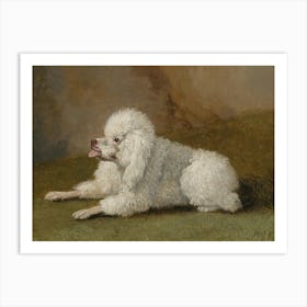 Portrait Of A Poodle, Jakob Philipp Hackert Art Print