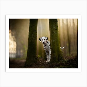 Dalmatian puppy in between the trees - Gavers Belgium dog photo print - moody animal photography art Art Print