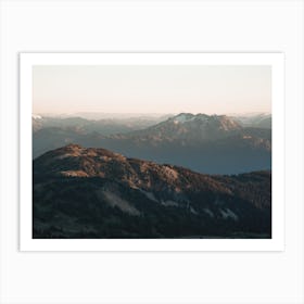 Vast Forest Scenery Art Print