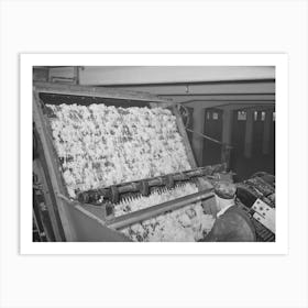 Freshly Scoured Wool Entering Drying Chamber At Wool Scouring Plant, San Marcos, Texas By Russell Lee Art Print