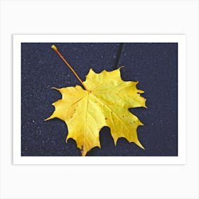 Autumn Leaf Art Print