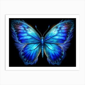 Blue Morpho Butterfly Art Print