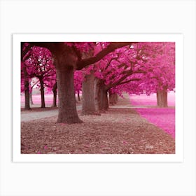 Pink Trees Art Print