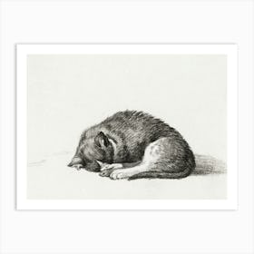 Rolled Up Lying Sleeping Cat, Jean Bernard Art Print
