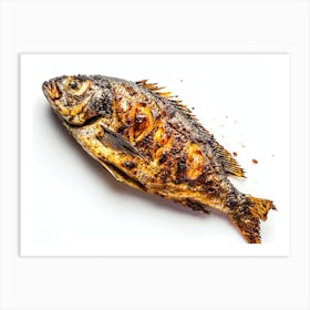 Grilled Fish On White Background 3 Art Print