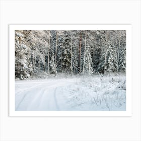 Winter Forest Art Print