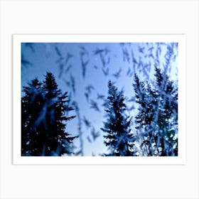 Trees Reflected On A Frosted Window Shield In Anchorage Art Print