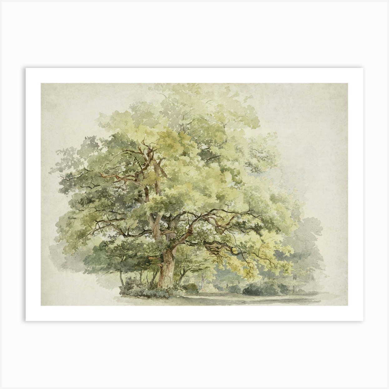 Oak Tree Art Print by Print Rocker