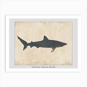 Isistius Genus Shark Silhouette 3 Poster Art Print