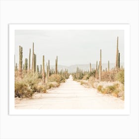 Deserted Road Art Print