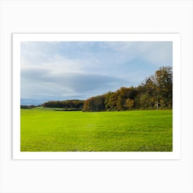 Green Field With Trees Art Print