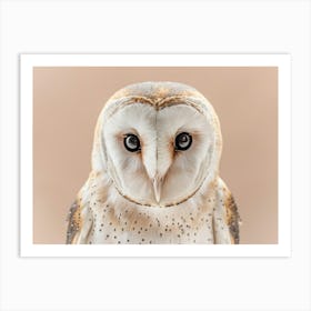 Barn Owl 12 Art Print