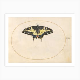 Swallowtail Butterfly (c. 1575-1580), Joris Hoefnagel Art Print