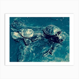 Turtles Art Print